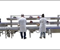 Packing Station with Workers