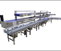 Conveyor Packing Station