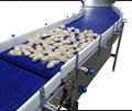 Radius Flush MatTop Conveyor Section