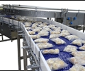Packaged Bakery on MatTop Conveyor